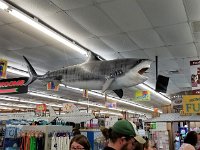 2018072886 Paddle Boat-Museum-Shopping-Gulf Shores AL-Jul 12