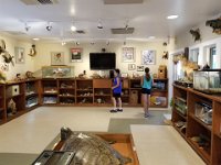 2018072286 Gulf State Park Nature Center-Gulf Shores AL-Jul 09