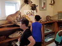 2018072292 Gulf State Park Nature Center-Gulf Shores AL-Jul 09