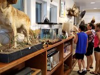 2018072294 Gulf State Park Nature Center-Gulf Shores AL-Jul 09