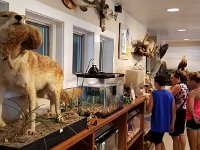 2018072295 Gulf State Park Nature Center-Gulf Shores AL-Jul 09