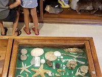 2018072303 Gulf State Park Nature Center-Gulf Shores AL-Jul 09