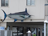 2018072766 Condo at 131 The Fun Boat-Orange Beach AL-Jul 11