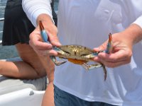 2018072816 Condo at 131 The Fun Boat-Orange Beach AL-Jul 11