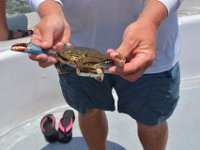 2018072828 Condo at 131 The Fun Boat-Orange Beach AL-Jul 11