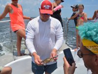 2018072832 Condo at 131 The Fun Boat-Orange Beach AL-Jul 11