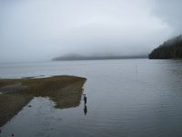 2010078747 Northwest Canada & Alaska Vacation - Jul 23 - Aug 13 : Alaska, Juneau, Tongass Rain Forrest