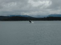 2010077906 Northwest Canada & Alaska Vacation -  Jul 23 - Aug 13 : Juneau