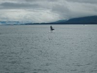2010077952 Northwest Canada & Alaska Vacation -  Jul 23 - Aug 13 : Juneau
