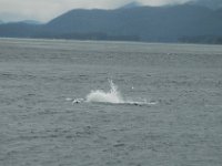 2010078012 Northwest Canada & Alaska Vacation -  Jul 23 - Aug 13 : Juneau