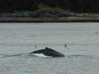 2010078024 Northwest Canada & Alaska Vacation -  Jul 23 - Aug 13