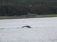 2010078596 Northwest Canada & Alaska Vacation - Jul 23 - Aug 13