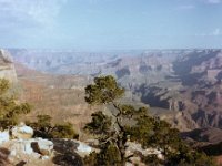 1981071100 Grand Canyon Vacation