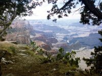 1981071111 Grand Canyon Vacation