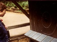 1975081147 Muir Woods National Mounment, California (August 1975) : California : Darla Hagberg,Betty Hagberg