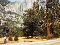 1975081091 Yosemite National Park, California (August 1975) : California