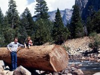 1975081099 Yosemite National Park, California (August 1975)