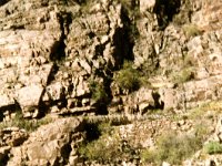 1980087615 Royal Gorge - Colorado Springs - CO