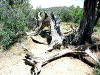 2007062264 Black Canyon of the Gunnison National Park - Colorado