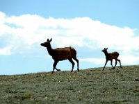 2007062658 Rocky Mountain National Park - Colorado