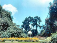 1973 07 319 Cypress Gardens FL : Cypress Gardens, FL