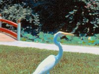 1973 07 320 Cypress Gardens FL : Cypress Gardens, FL