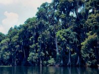 1973 07 326 Cypress Gardens FL : Cypress Gardens, FL