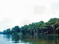 1973 07 327 Cypress Gardens FL : Cypress Gardens, FL