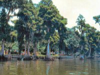 1973 07 328 Cypress Gardens FL : Cypress Gardens, FL