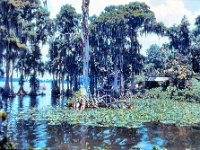 1973 07 329 Cypress Gardens FL : Cypress Gardens, FL