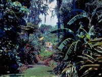 1973 07 333 Cypress Gardens FL : Cypress Gardens, FL : Darla Hagberg,Betty Hagberg