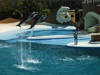 1987070147 Darrel-Betty-Darla Hagberg - Katia DePuydt  - Mattias Moell  - Sea World Orlando FL : Florida : Katia DePuydt,Darla Hagberg,Mattias Moell