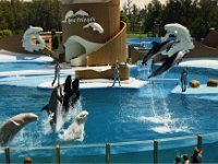 1987070150A Darrel-Betty-Darla Hagberg - Katia DePuydt  - Mattias Moell  - Sea World Orlando FL : Florida