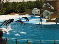 1987070151 Darrel-Betty-Darla Hagberg - Katia DePuydt  - Mattias Moell  - Sea World Orlando FL : Florida