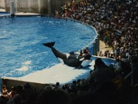 1987070156 Darrel-Betty-Darla Hagberg - Katia DePuydt  - Mattias Moell  - Sea World Orlando FL : Florida