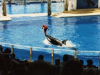 1987070157 Darrel-Betty-Darla Hagberg - Katia DePuydt  - Mattias Moell  - Sea World Orlando FL : Florida