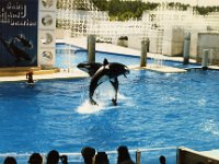 1987070158 Darrel-Betty-Darla Hagberg - Katia DePuydt  - Mattias Moell  - Sea World Orlando FL : Florida