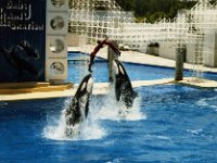 1987070159 Darrel-Betty-Darla Hagberg - Katia DePuydt  - Mattias Moell  - Sea World Orlando FL : Florida