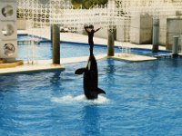 1987070160 Darrel-Betty-Darla Hagberg - Katia DePuydt  - Mattias Moell  - Sea World Orlando FL : Florida