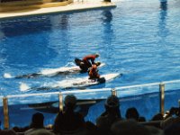 1987070162 Darrel-Betty-Darla Hagberg - Katia DePuydt  - Mattias Moell  - Sea World Orlando FL : Florida