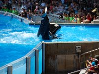 2008078020  Betty-Darrel Hagberg Darla-Angela-Isabella-Alexander Jone Sea World