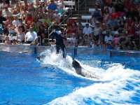 2008078032  Betty-Darrel Hagberg Darla-Angela-Isabella-Alexander Jone Sea World