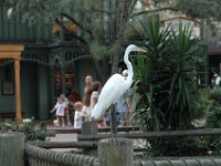 2008078293  Betty-Darrel Hagberg Darla-Angela-Isabella-Alexander Jones Disney World