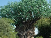 2008078322  Betty-Darrel Hagberg Darla-Angela-Isabella-Alexander Jones Disneys Animal Kingdom