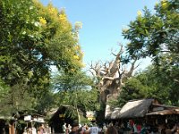 2008078328  Betty-Darrel Hagberg Darla-Angela-Isabella-Alexander Jones Disneys Animal Kingdom