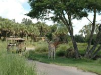 2008078357  Betty-Darrel Hagberg Darla-Angela-Isabella-Alexander Jones Disneys Animal Kingdom