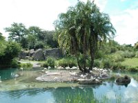 2008078367  Betty-Darrel Hagberg Darla-Angela-Isabella-Alexander Jones Disneys Animal Kingdom