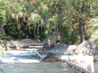 2009068966 Busch Gardens - Tampa - Florida