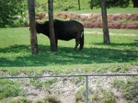 2009068971 Busch Gardens - Tampa - Florida