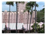 2009069040g Busch Gardens - Tampa - Florida : Angela Jones